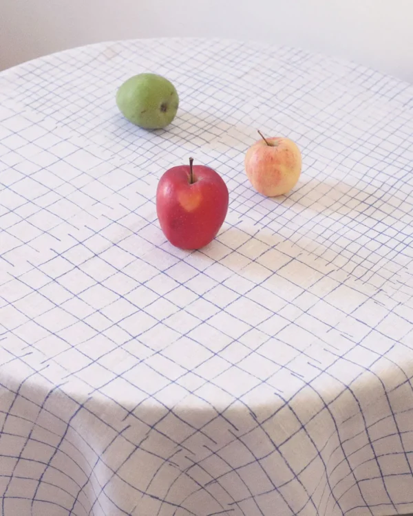 Blue grid table cloth