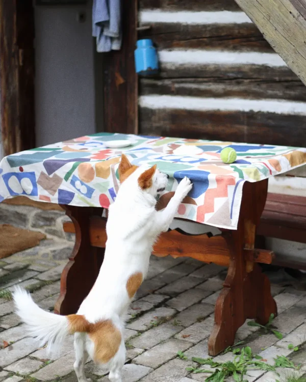 Color shapes table cloth